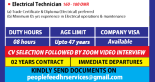 Electrical Company Lineman Electrical Technician