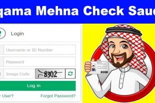 Check Iqama Mehna Online feature